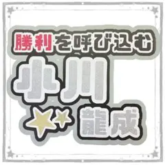 2026年最新】龍成の人気アイテム - メルカリ