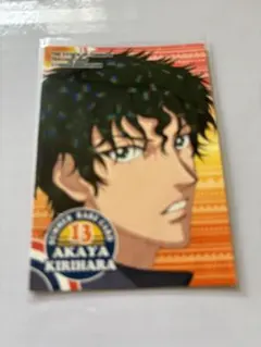 新テニスの王子様 タワレココラボ トレーディングフォトカード 切原赤