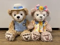 【美品】スプリングダッフィーシェリーメイ ぬいぐるみSS 2013年