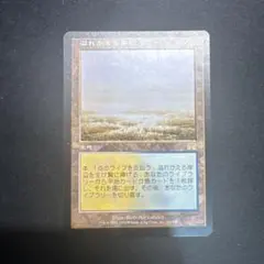 2026年最新】溢れかえる岸辺の人気アイテム - メルカリ