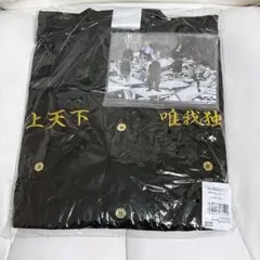 新品 氣志團万博 2024 当選品 早乙女光 クッション - メルカリ