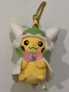 メガデンリュウのポンチョを着たピカチュウ - メルカリ