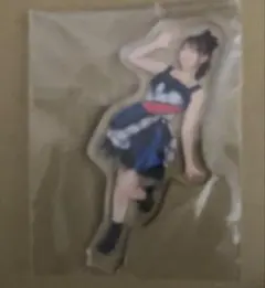 Item thumbnail for item 49f6b099-9a6e-46c6-85c4-b055998c87c7