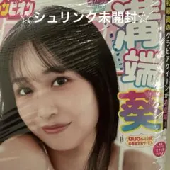 ☆新品・未読品☆ヤングチャンピオン　2026年19号 溝端葵　シュリンク未開封品