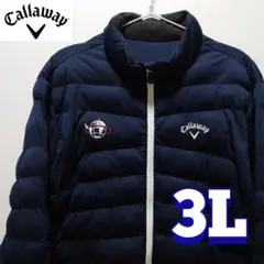 Item thumbnail for item 7aa1b02f-b2f4-4e66-8603-60cf717ffc1c