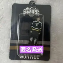 2025年最新】seventeen ウォヌ アクスタの人気アイテム - メルカリ