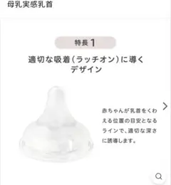 ピジョン乳首Lサイズ