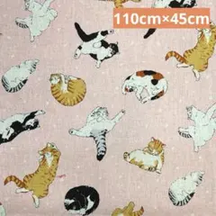ハギレ　ドットへそ天にゃんこ　猫柄　コッカ　110cm幅×45cm