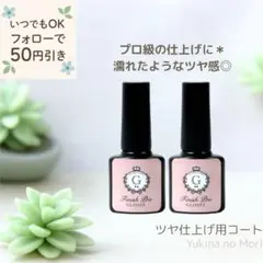 【お得な2本セット♪】フィニッシュプロ グロッシー 隠れ工房GreenOcean
