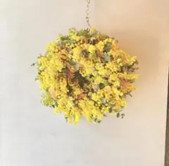 Item thumbnail for item 8c8884a9-ab51-403d-8344-5fe7e5cf92e4