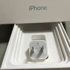 iPhone純正イヤホン付属品　電源アダプター 1