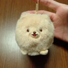 Item thumbnail for item 73a2ca1c-66d9-4a96-a96e-7f99caa5c4a5