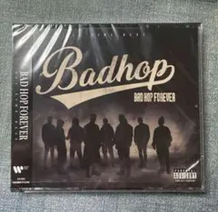美品 BAD HOP Badhop レコード 付属マット付き 2025年最新】BAD_HOPの人気アイテム - メルカリ