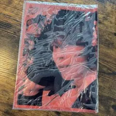 T.M.Revolution ブックカバー