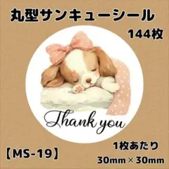 【MS-19】サンキューシール144枚/ケア/ほんのきもち/宛名/差出人/配達員