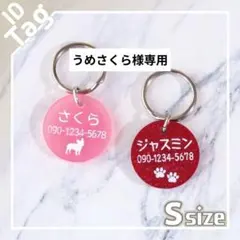 【うめさくら様専用】全25色　迷子札◯アクリル製　丸型　片面彫刻1円玉サイズ