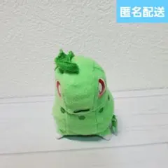 ポケモン　チコリータ　モンスターボール　ぬいぐるみ