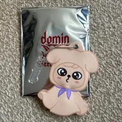 スキズ dominATE スタジアム ミニうちわキーホルダー スンミン