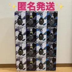 CRAZY RACCOON フィギュア　16箱セット