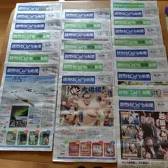 読売こども新聞 2024年10月～12月分 13部