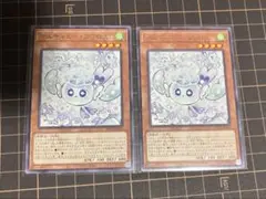 マルチャミー・フワロス　2枚