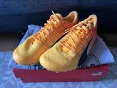 Item thumbnail for item ec833afc-c261-4cd4-92bd-226bccf71087