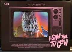 映画 「テレビの中に入りたい」パンフレット