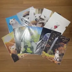 【新品未開封】ソフトバンク犬 クリアファイル　10枚
