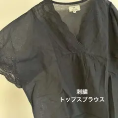 刺繍レースVネック 半袖ブラウス