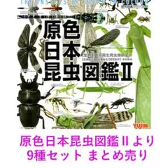 2026年最新】原色昆虫IIの人気アイテム - メルカリ