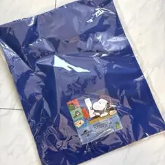 新品 スヌーピー 書類ケース 日本生命 ニッセイ