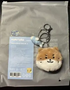 seventeen ミニティーン　チャンダリ　ディノ　セット　DINO seventeen ミニティーン チャンダリ ディノ セット DINO - メルカリ