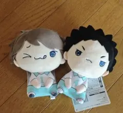 ハイキュー!! もちぴこぬいぐるみ　2種セット 及川 徹 岩泉 一