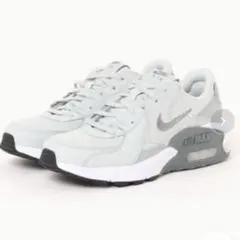NIKE エアマックス エクシー ライトシルバー 25.0cm