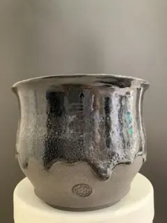 藤野貴則 作 色絵磁器 鉢「花弁散る水の中」共箱付き - メルカリ