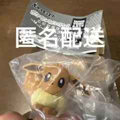 ポケモンみつけた！マスコット　はこであそぼ　イーブイ