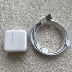 Apple純正 Lightningケーブル ACアダプタセット