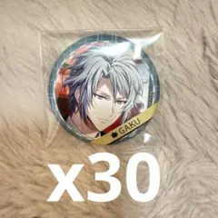 アイナナ　八乙女楽　缶バッジ