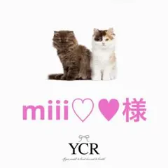 miii♡♥プロフ必読様専用　ぷっくりネームボードオーダー　BTS ジミン