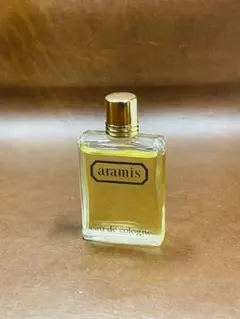 希少 廃盤 ARAMIS アラミス ボイジャー オードトワレ 香水 110ml