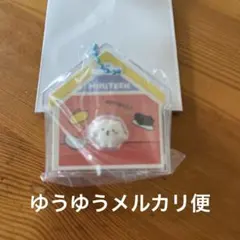 MINITEEN パッケージチャーム＆グミ ビョプリ ウジ　セブチのサムネイル