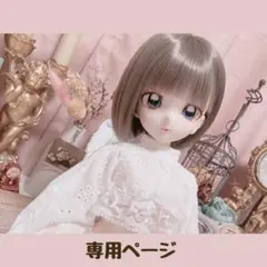 専用ページ