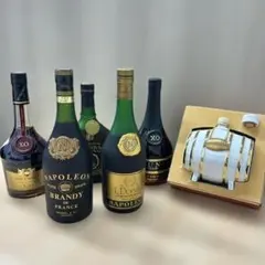 レミーマルタン カミュ ブランデー 5本まとめ売り - メルカリ
