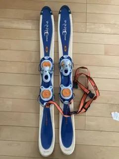 2026年最新】ファンスキー salomonの人気アイテム - メルカリ