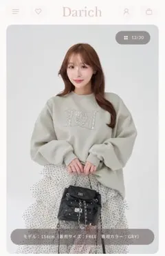 Darich DDロゴビジュースウェットプルオーバー GRY