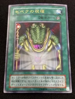 2026年最新】セベクの祝福 遊戯王の人気アイテム - メルカリ