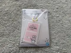 ホワイトタイガーとブラックタイガー　一番くじ Ｃ賞 うさぎ先生