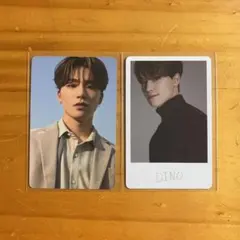 SEVENTEEN incomplete インコンプリート ディノ