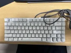 EY-0050 ホワイトキーボード