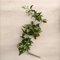 SALE 新品　フェイクグリーン　キャスケードブーケ　花材